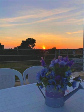 Incantevole attico con grande terrazza